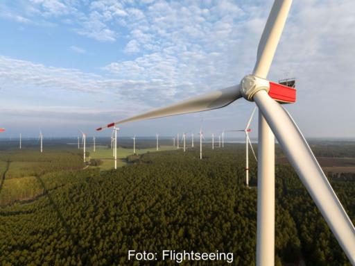 Blick über Windpark im Flachland von Höhe der Nabe einer Windanlage.