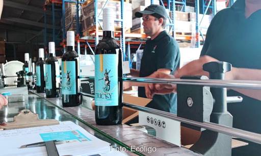 Im Bild die Weinabfüllung im Weingut Vina Invina, für das das Photovoltaik-Crowdinvesting die Solaranlage finanzieren soll.