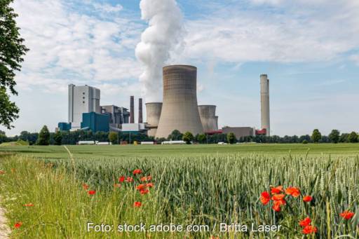 Ein Braunkohlekraftwerk emittiert Wasserdampf, davor eine Wiese mit Mohnblumen.