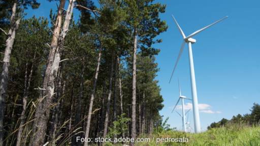 Windenergie im Wald, im Forst,
