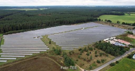 Luftbild eines PV-Parks am Waldrand im Flachland.