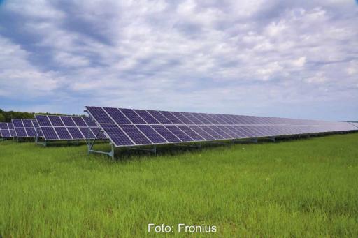 Eine Freiflächen-PV-Anlage auf grüner Wiese.
