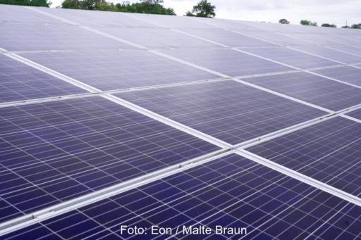 Solarmodule einer Freiflächenanlage.