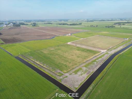 Luftbild einer großen Wiesenfläche in den Niederlanden.