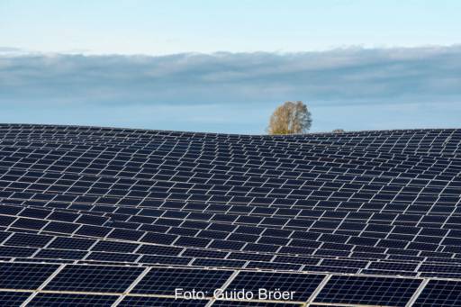 Blick über ein große Photovoltaik-Freiflächenanlage, im Hintergrund ein Baum, blauer Himmel und der Rand eines Wolkenbandes