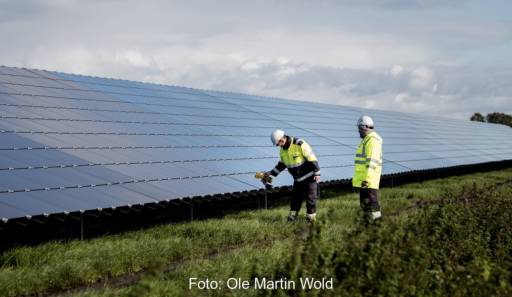Im Bild ein Solarpark von Statkraft in den Niederlanden. In Zerbst entsteht ein Photovoltaik-Projekt mit Batteriespeicher.