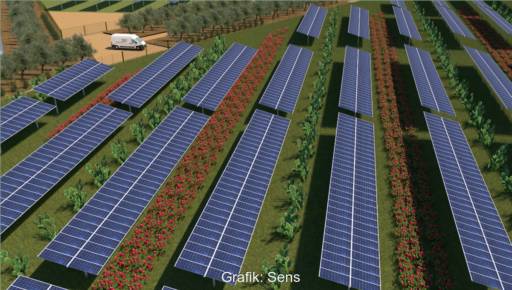 Im Bild eine Animation, die den Aufbau der Agri-PV-Anlage auf Sizilien zeigt.