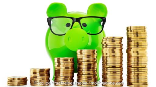 Im Bild ein Sparschwein und Geldmünzen als Symbol für die höhere Eigenkapitalverzinsung für Neuinvestitionen der Strom- und Gasnetzbetreiber.