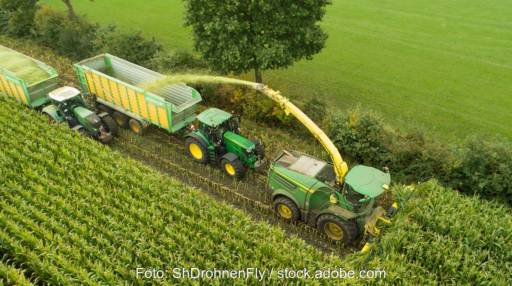 Im Bild zu sehen ist die Maisernte. Mais ist laut Marktdaten Bioethanol 2022 nach Weizen die wichtigste Quelle für Biokraftstoff im Benzin.