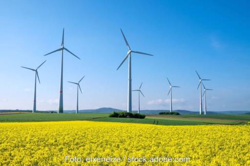 Windpark hinter Rapsfeld in hügeliger Landschaft unter blauem Himmel.