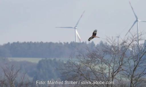 Im Bild ein Rotmilan vor einer Windenergie-Anlage, die Habitatpotenzialanalyse soll Vögel vor Kollisionen schützen.