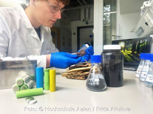 Ein Forschender im Labor untersucht Holzabfälle.