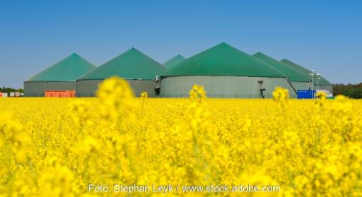 Das BMWK will laut Bundeswirtschaftsminister Habeck die Begrenzungen der jährlichen Maximalproduktion für Biogas aussetzen.
