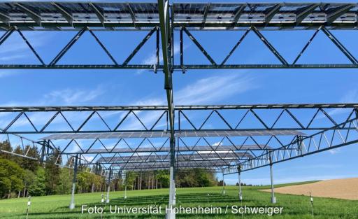 Die Arbeitsgruppe Begleitforschung Agri-Photovoltaik fordert eine bessere Förderung von Agri-PV-Anlagen mit hoch aufgeständerten PV-Modulen.