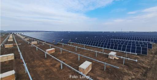 Im Bild der Photovoltaik-Solarpark in Ungarn, den Longi mit nachgeführten PV-Modulen ausgestattet hat.