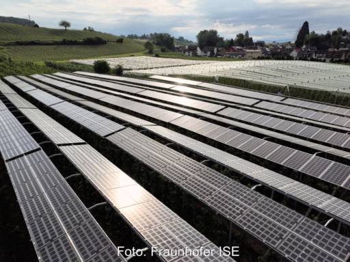 Eine Großanlage für Agri-PV unter Sonneneinstrahlung.