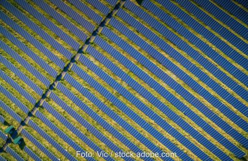 Luftbild von Solarmodul-Reihen auf grüner Wiese.