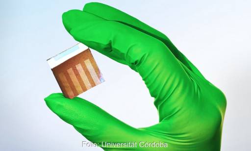 Eine Hand mit grünem Handschuh hält eine der Perowskit-Solarzellen mit reduziertem Bleigehalt.