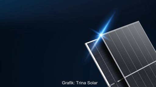 Im Bild Vertex-N-Photovoltaik-Module von Trina Solar.
