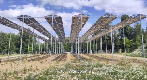 Im Bild die Wiederaufforstungsfläche mit der Photovoltaik Anlage.