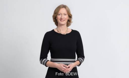 Portrait von Kerstin Andreae, Hauptgeschäftsführerin des BDEW.