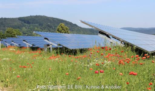 Im Bild eine Photovoltaik-Freiflächenanlage, der Solarausbau in Baden-Württemberg stützt sich auf dieses Segment.
