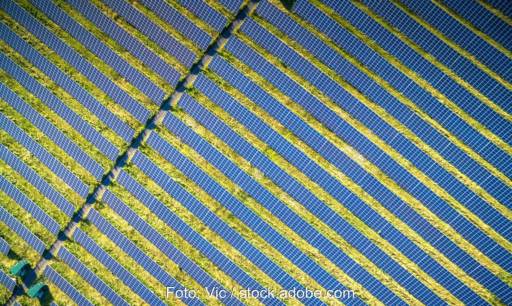 Im Bild ein Solarpark, für Photovoltaik-Freiflächenanlagen fällt in Brandenburg bald eine Sonderabgabe an.
