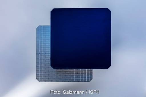 Im Bild eine POLO IBC-Solarzelle, die POLO-IBC-Solarzellentechnologie wurde am ISFH entwickelt.
