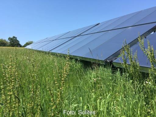 Ein solarthermisches Kollektorfeld auf einer Wiese.
