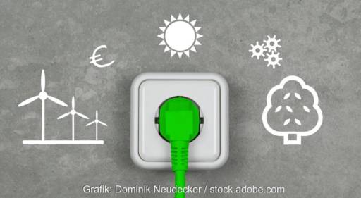 Im Bild ein grüner Stecker in Steckdose, der neue Stichtag für Stromkennzeichnung ist an 2025 der 1. Juli.