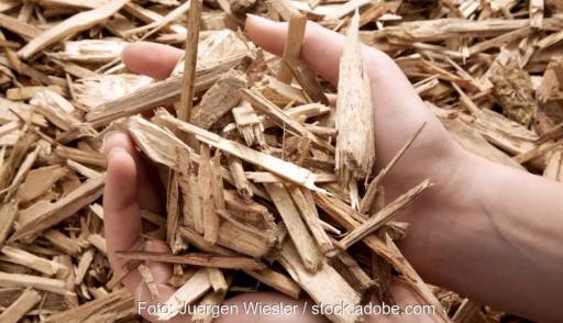 Im Bild eine Hand mit Holzschnitzeln als Symbol für die Merkblätter der EEW-Förderung.