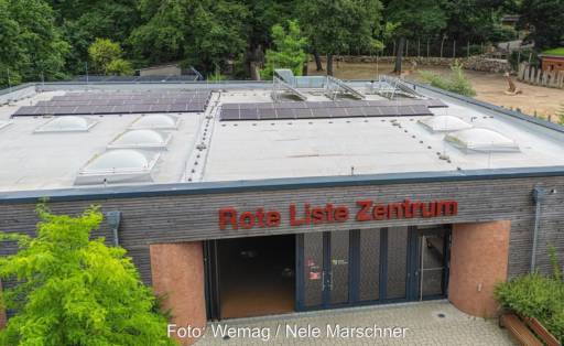 Im Bild die Photovoltaik-Anlage für den Zoo in Schwerin.