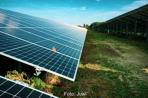 Freiflächen-Solarnalge auf grüner Wiese mit Blumen vor blauem Himmel.