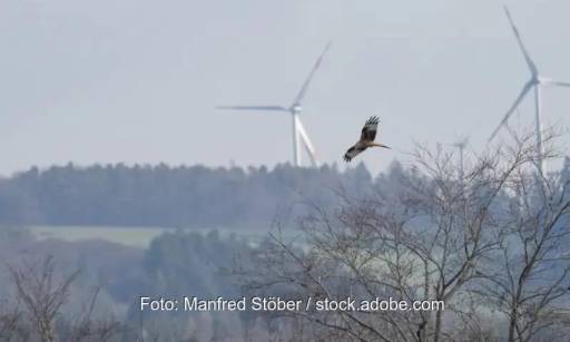 Im Bild ein Rotmilan vor Windenergieanlage, der Rotmilan ist im Leitfaden Nationales Artenhilfsprogramm des BfN aufgelistet.