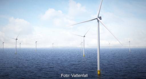 Im Bild ein Offshore-Windpark von Vattenfall, das Unternehmen stellt auf der WindEnergy Hamburg Initiativen vor, die die Biodiversität in Windparks verbessern sollen.