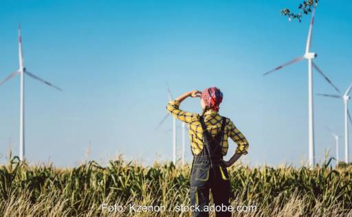 Im Bild eine Frau, die auf Windenergieanlagen schaut, Falschinformationen zur Windkraft sind weit verbreitet.