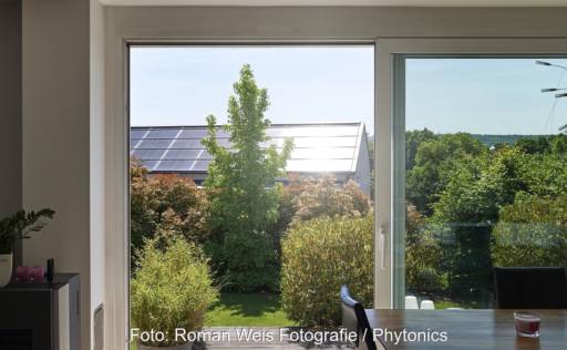 Im Bild ein Blick aus einem Fenster auf eine Photovoltaik-Anlage, die zur Hälfte blendfreie Photovoltaik-Module enthält.