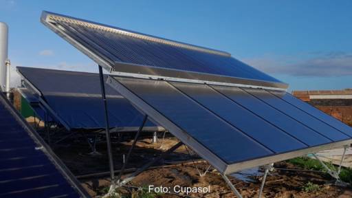 Bild zeigt Solarthermie-Anlage mit Vakuumröhren-Kollektoren und Flachkollektoren in einer Einheit kombiniert - Fernwärme-Erzeugung bei den Stadtwerken Wolmirstedt.