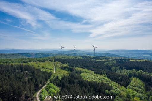 Aufnahme aus der Luft von Wald mit drei Windenergie-Anlagen weiter hinten im Bild.