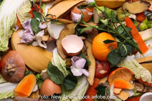 Biomüll mit Mandarine, Eierschalen und anderem - organischer Abfall als Basis für Biomethanol.