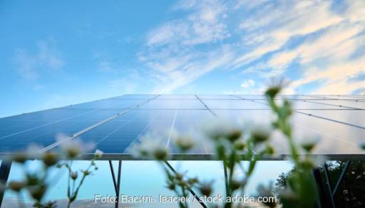 PV-Modukl im Freien gegen blass-blauen Himmel, unscharfe Blumen im Vordergrund.