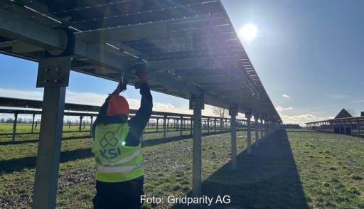 Im Bild flexible Trackerlängen einer Agri-PV-Anlage in Ostinghausen bei Soest.