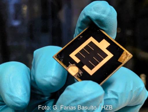 Im Bild eine Hand mit blauen Handschuhen, die eine CIGS-Perowskit-Tandemsolarzelle hält.