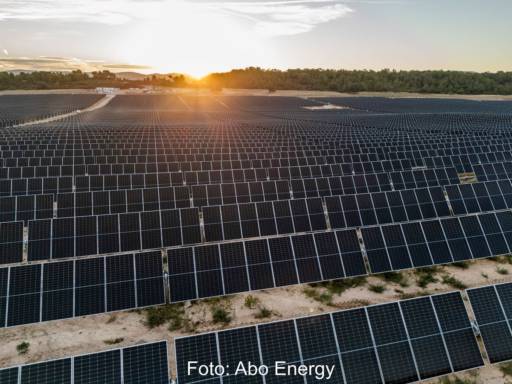 Ein Solarpark auf sandigem Boden mit schwarzen aufgeständerten Modulen bei Sonnenaufgang.