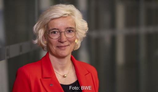 Im Bild Bärbel Heidebroek, Präsidentin des Bundesverbands Windenergie (BWE).