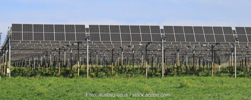 Im Bild eine Agri-Photovoltaik-Anlage, Brandenburg will Bürokratie abbauen.