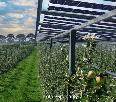 Im Bild der Agri-PV-Bausatz zur Selbstmontage für Landwirte von Gridparity