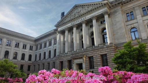 Zu sehen ist das Gebäude des Bundesrates mit pinken Blüten im Vordergrund