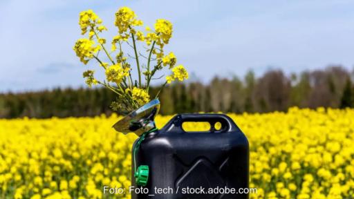 Im Bild ein Rapsfeld mit Kanister als Symbol für Biokraftstoffe.