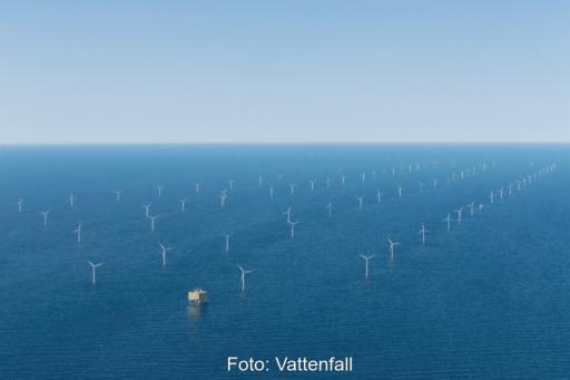 Luftbild eines Ofshore-Windparks.